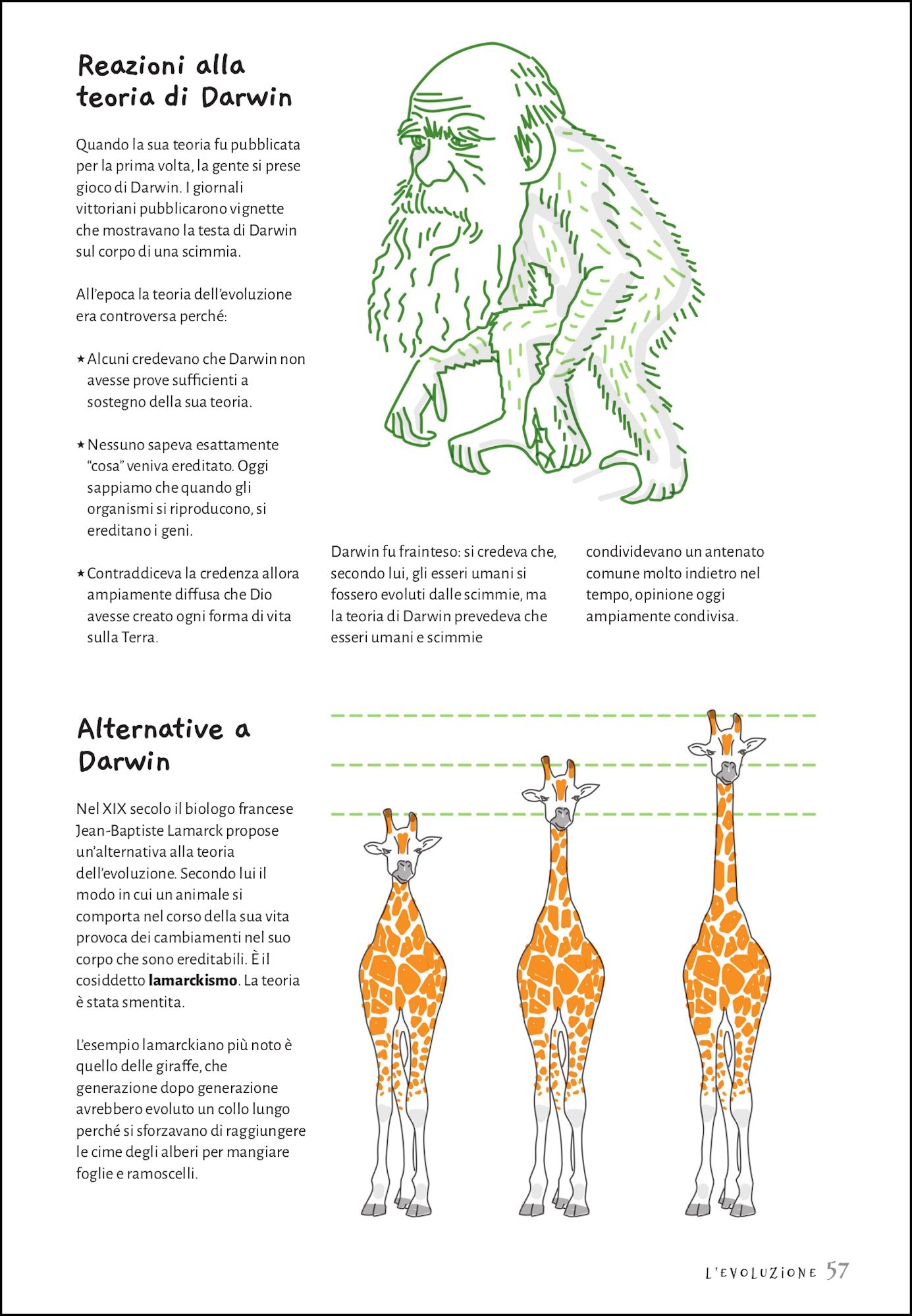 Le basi della biologia. Guida illustrata per tutte le età