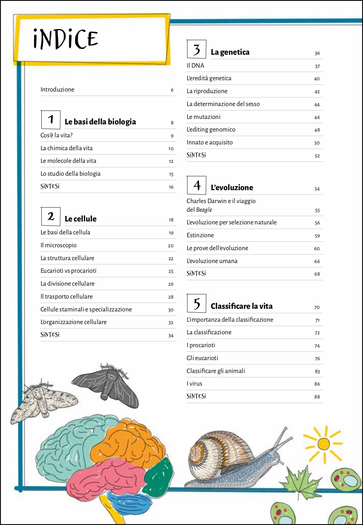 Le basi della biologia. Guida illustrata per tutte le età