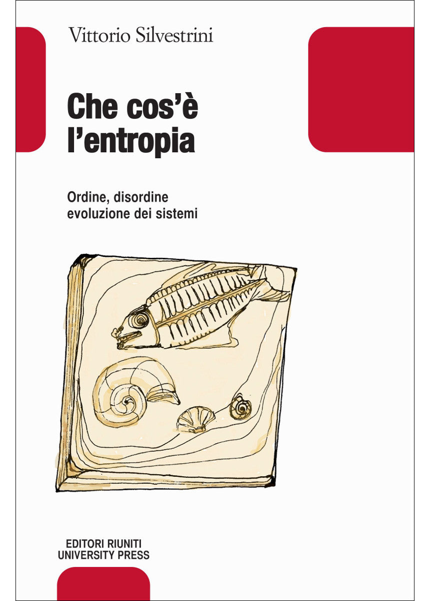 Che cos'è l'entropia. Ordine, disordine, evoluzione dei sistemi