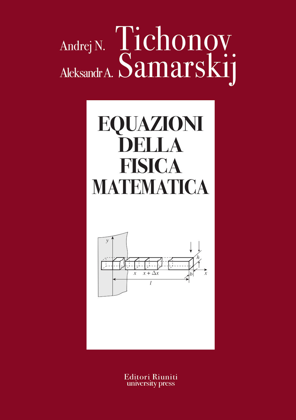 Equazioni della fisica matematica